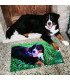 EVENT - Personalized carpet with photos, names, writing, designs or logo, photographic effect, promotional print