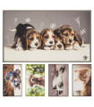 DIGITAL PETS - Tappetino antiscivolo lavabile con cane o gatto, tappeto animali sotto-ciotola lavabile 45x75 cm