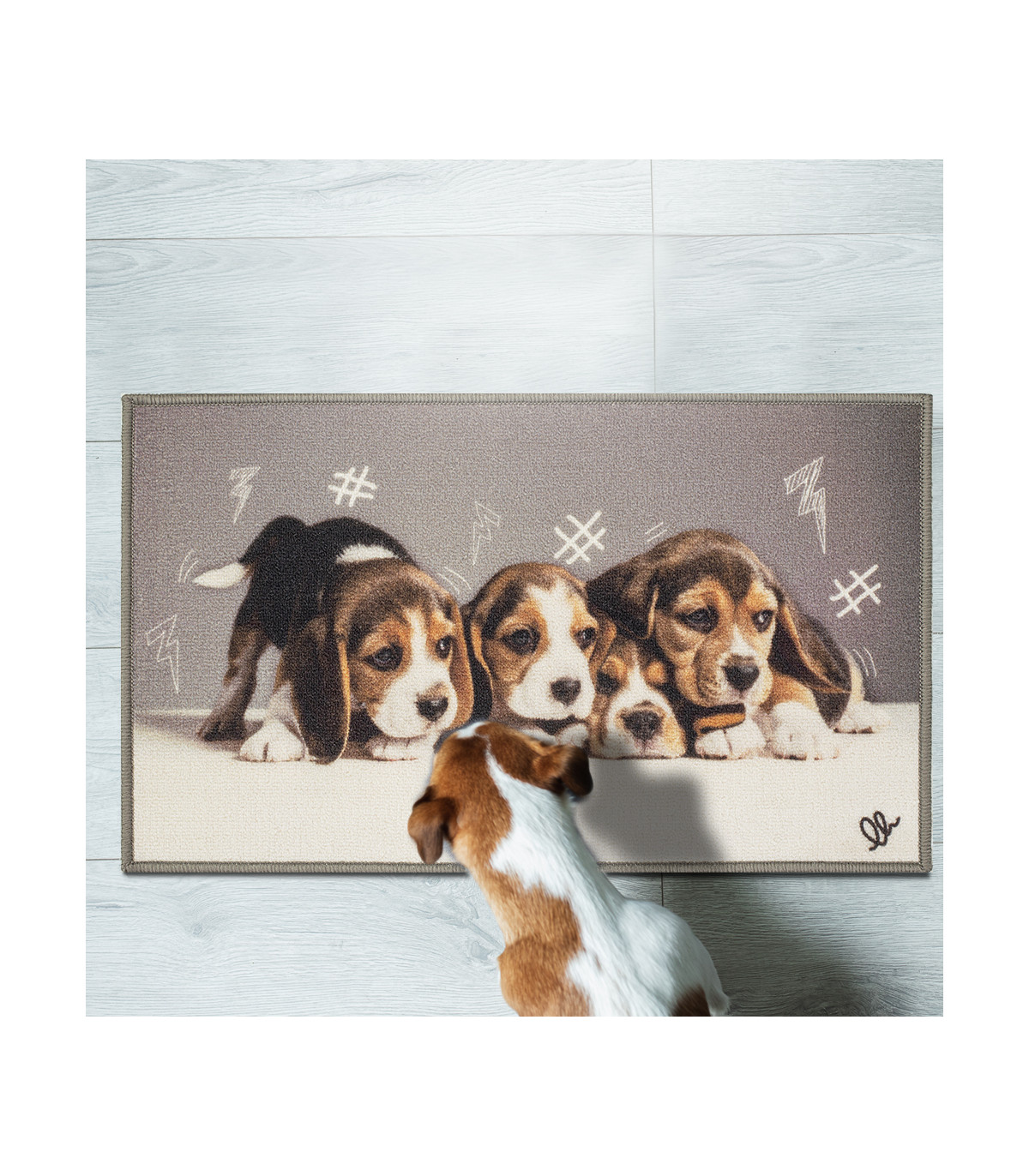 1# tappetino antiscivolo tappetino da bagno tappeto Gift Zhouba flanella colorato Dog Welcome Floor indoor outdoor 40 x 60 cm 