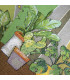 SECOND QUEEN - Plants green, non-slip mat kitchen, assorted sizes detail